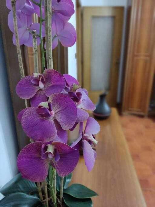 Casa Vacanza Il Corbetto Di Michela & Matteo Locana 외부 사진